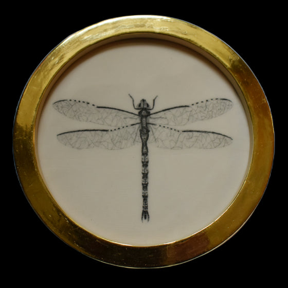 Dragonfly (11)