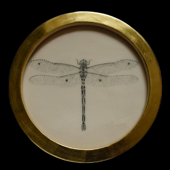 Dragonfly (20)