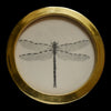 Dragonfly (25)