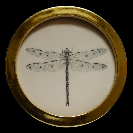 Dragonfly (27)