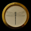 Dragonfly (29)