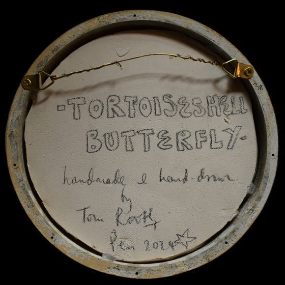 Tortoiseshell butterfly (38)