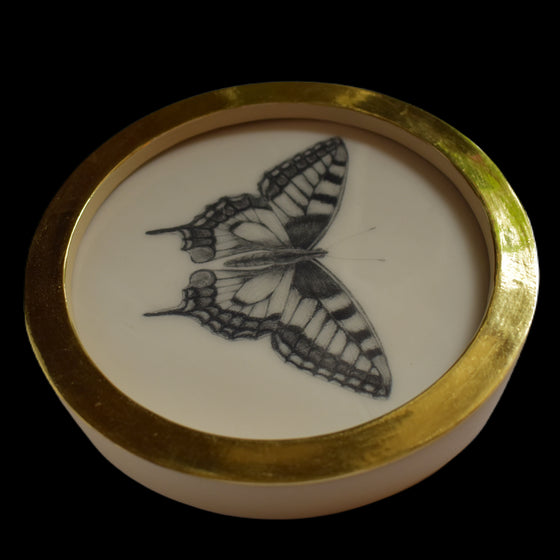 Swallowtail butterfly (43)