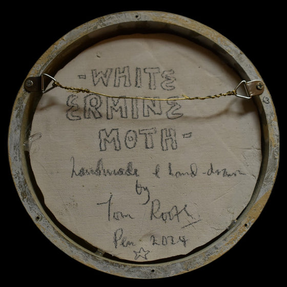 White ermine moth (63)