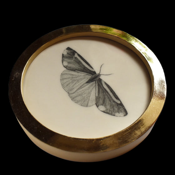 Cinnabar moth (70)