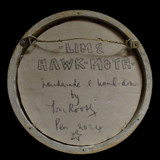 Lime hawk-moth (76)