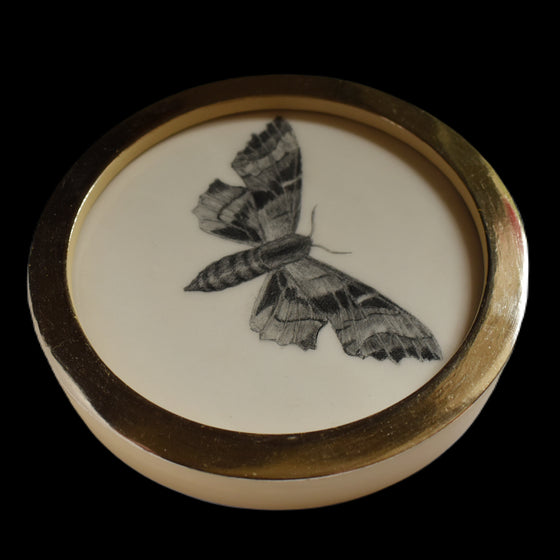 Poplar hawk-moth (78)