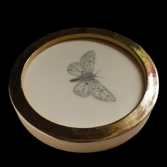 White ermine moth (79)