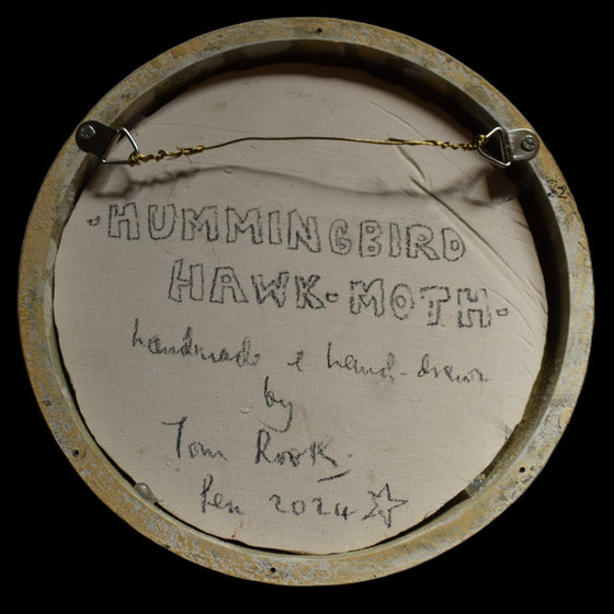 Hummingbird hawk-moth (82)