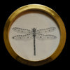 Dragonfly (8)