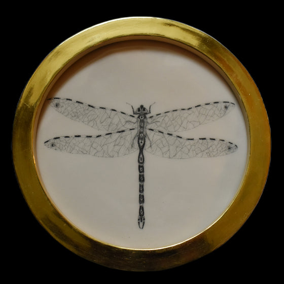 Dragonfly (6)