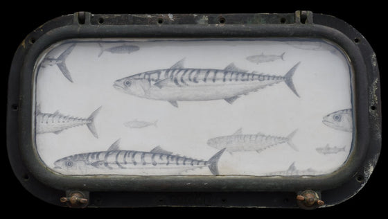 A shoal of mackerel in a porthole, circa 1940